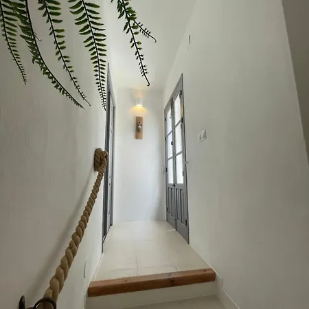 Nidos Apartments, * フリヒリアナ
