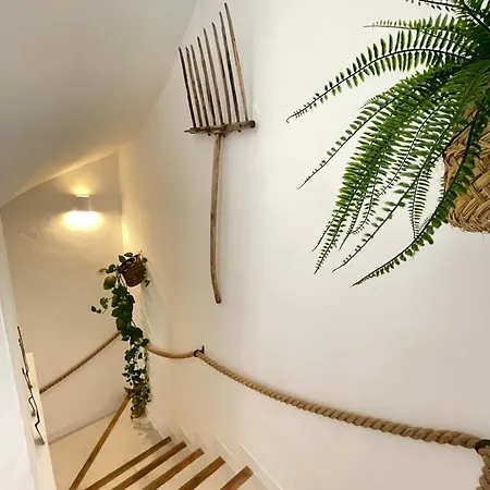 Nidos Apartments,